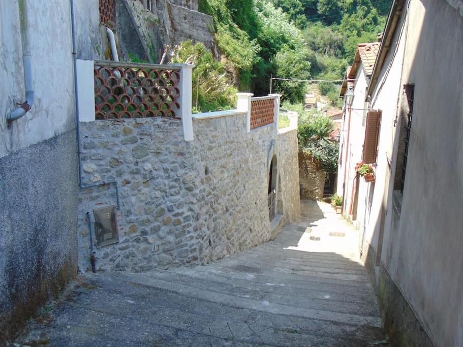 Rustico San Jacopo Villa Gallicano Eksteriør billede