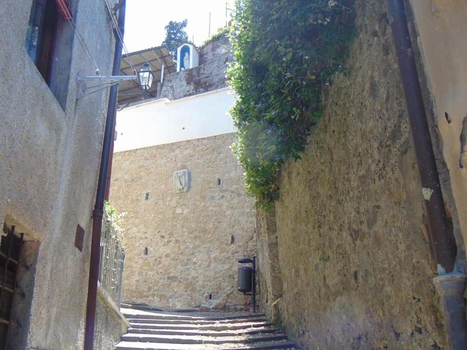 Rustico San Jacopo Villa Gallicano Eksteriør billede